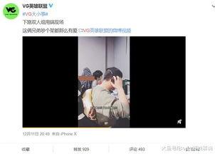 刘先生爆料视频播放大全,揭秘事件真相与幕后黑幕  第3张